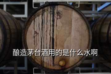 釀造茅臺(tái)酒用的是什么水啊