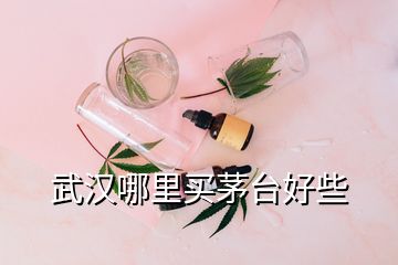 武漢哪里買茅臺好些