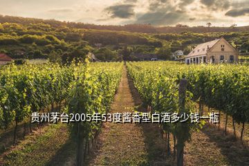 貴州茅臺2005年53度醬香型白酒多少錢一瓶