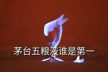 茅臺(tái)五糧液誰是第一