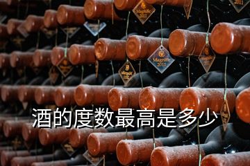 酒的度數(shù)最高是多少