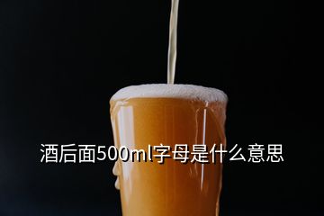 酒后面500ml字母是什么意思