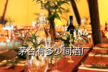 茅臺(tái)有多少間酒廠