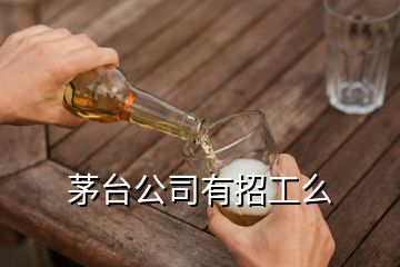 茅臺(tái)公司有招工么