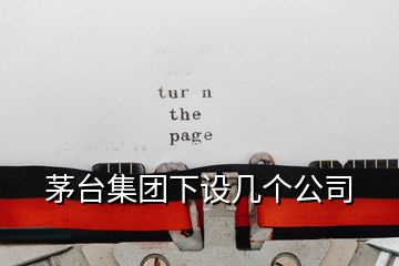 茅臺(tái)集團(tuán)下設(shè)幾個(gè)公司