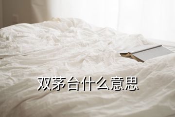 雙茅臺(tái)什么意思