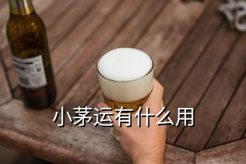 小茅運(yùn)有什么用