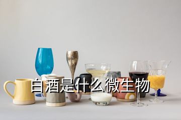 白酒是什么微生物