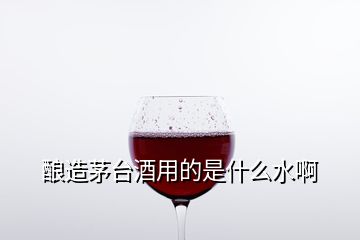 釀造茅臺酒用的是什么水啊