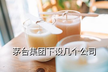 茅臺集團下設幾個公司