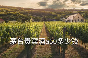 茅臺貴賓酒a50多少錢