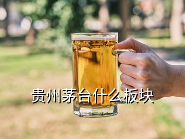 貴州茅臺(tái)什么板塊