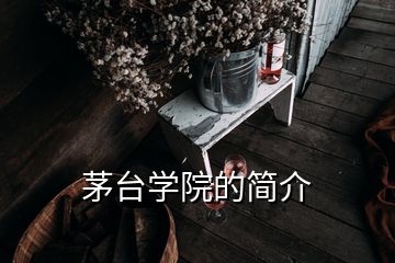 茅臺學(xué)院的簡介