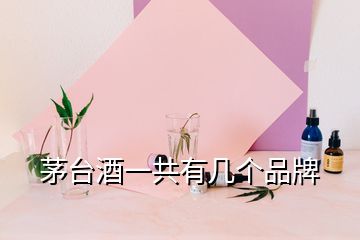 茅臺(tái)酒一共有幾個(gè)品牌