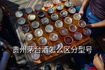 貴州茅臺(tái)酒怎么區(qū)分型號(hào)