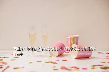 中國(guó)貴州茅臺(tái)酒業(yè)有限公司有多少個(gè)技術(shù)分公司他們的公司名字