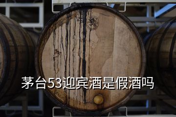 茅臺(tái)53迎賓酒是假酒嗎