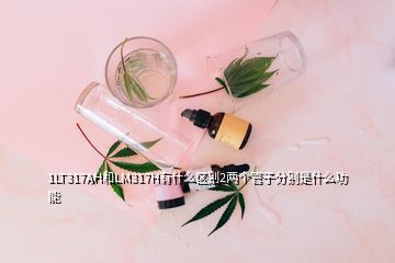 1LT317AH和LM317H有什么區(qū)別2兩個管子分別是什么功能