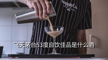 飛天茅臺53度自飲佳品是什么酒