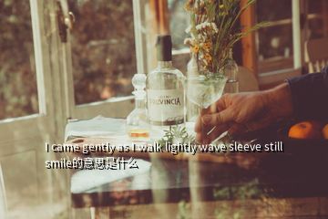 I came gently as I walk lightly wave sleeve still smile的意思是什么