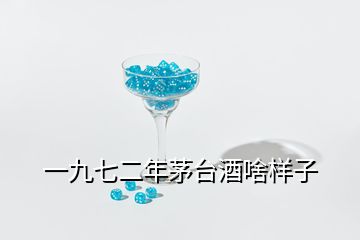 一九七二年茅臺酒啥樣子