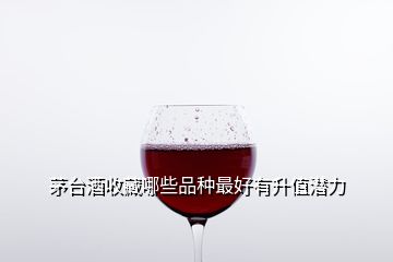 茅臺(tái)酒收藏哪些品種最好有升值潛力