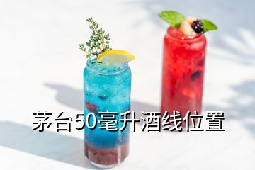 茅臺(tái)50毫升酒線位置