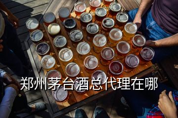 鄭州茅臺酒總代理在哪