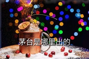 茅臺(tái)是哪里出的