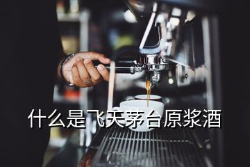 什么是飛天茅臺(tái)原漿酒