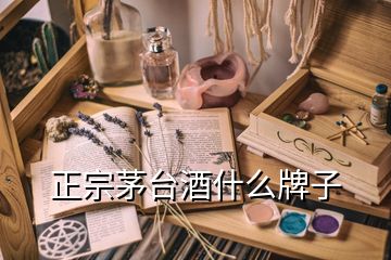 正宗茅臺(tái)酒什么牌子