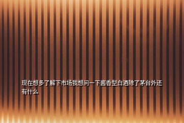 現(xiàn)在想多了解下市場我想問一下醬香型白酒除了茅臺外還有什么