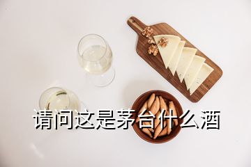 請問這是茅臺什么酒