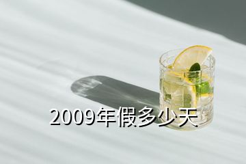 2009年假多少天