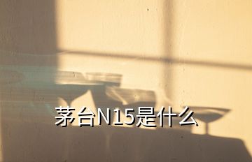 茅臺(tái)N15是什么