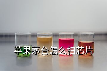 蘋果茅臺怎么掃芯片