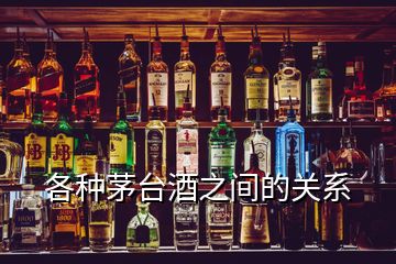 各種茅臺酒之間的關(guān)系