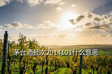 茅臺(tái)酒批次2014101什么意思