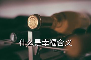 什么是幸福含義