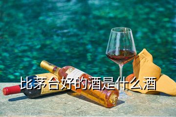 比茅臺(tái)好的酒是什么酒