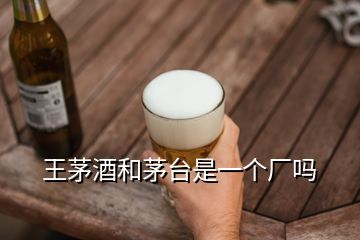 王茅酒和茅臺是一個廠嗎