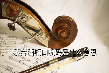 茅臺酒瓶口噴碼是什么意思