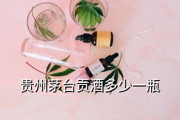 貴州茅臺(tái)貢酒多少一瓶