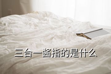 三臺(tái)一醬指的是什么