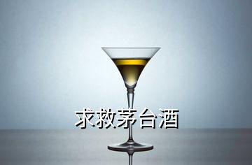 求救茅臺酒