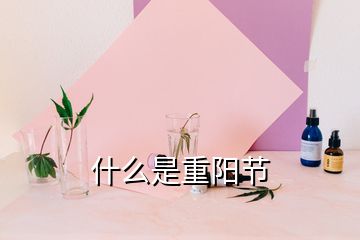 什么是重陽節(jié)