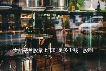 貴州茅臺(tái)股票上市時(shí)是多少錢一股啊