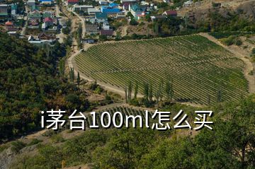 i茅臺100ml怎么買