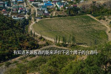 有知道茅源醬酒的能來評價下這個牌子的白酒嗎