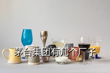 茅臺(tái)集團(tuán)有幾個(gè)廠子